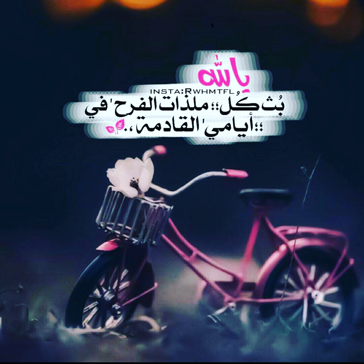 غلاف fofo
