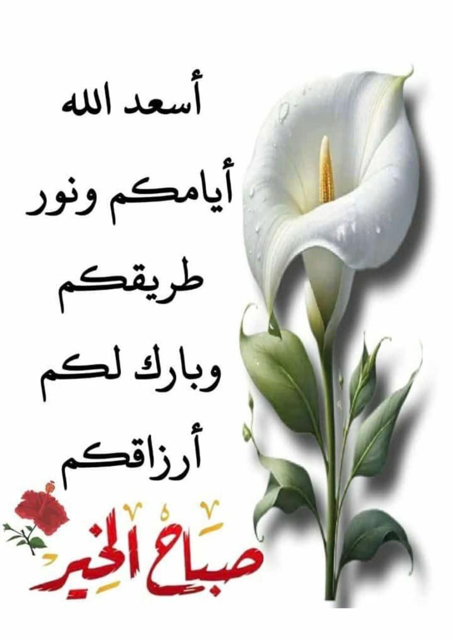 أ.لطيفة أحمد