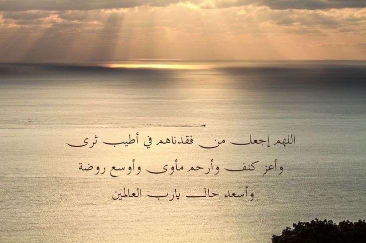 وسائط المنشور