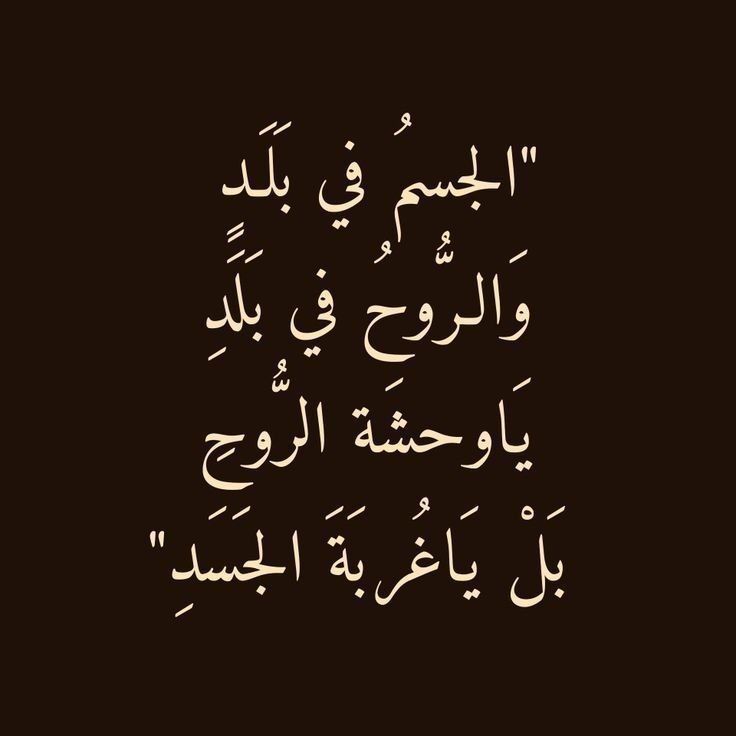 وسائط المنشور