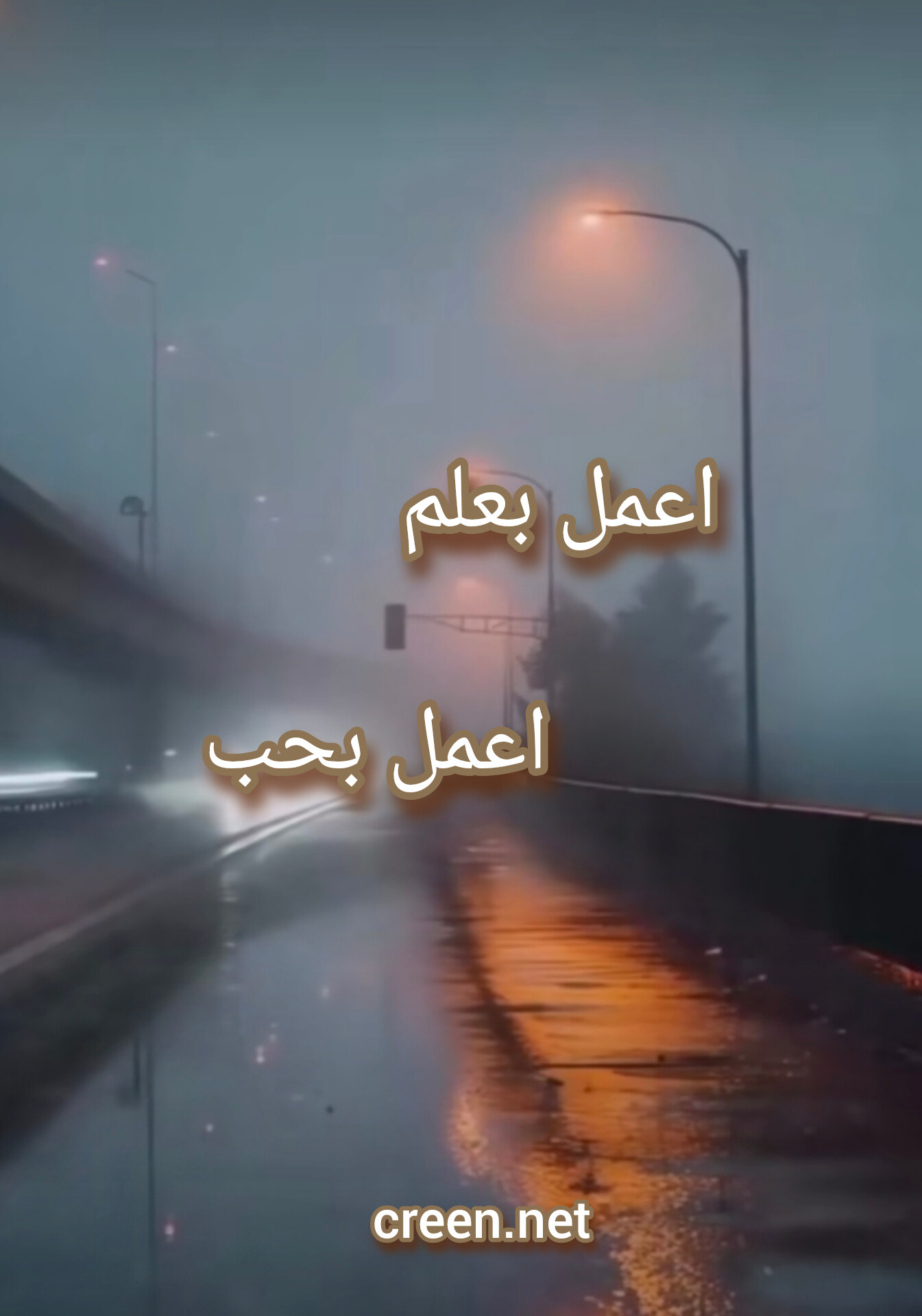 وسائط المنشور