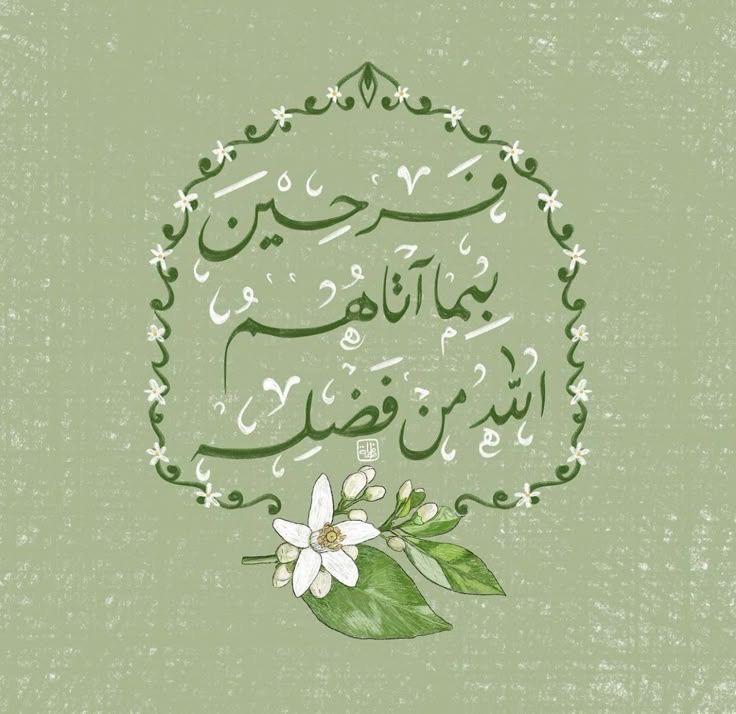 وسائط المنشور