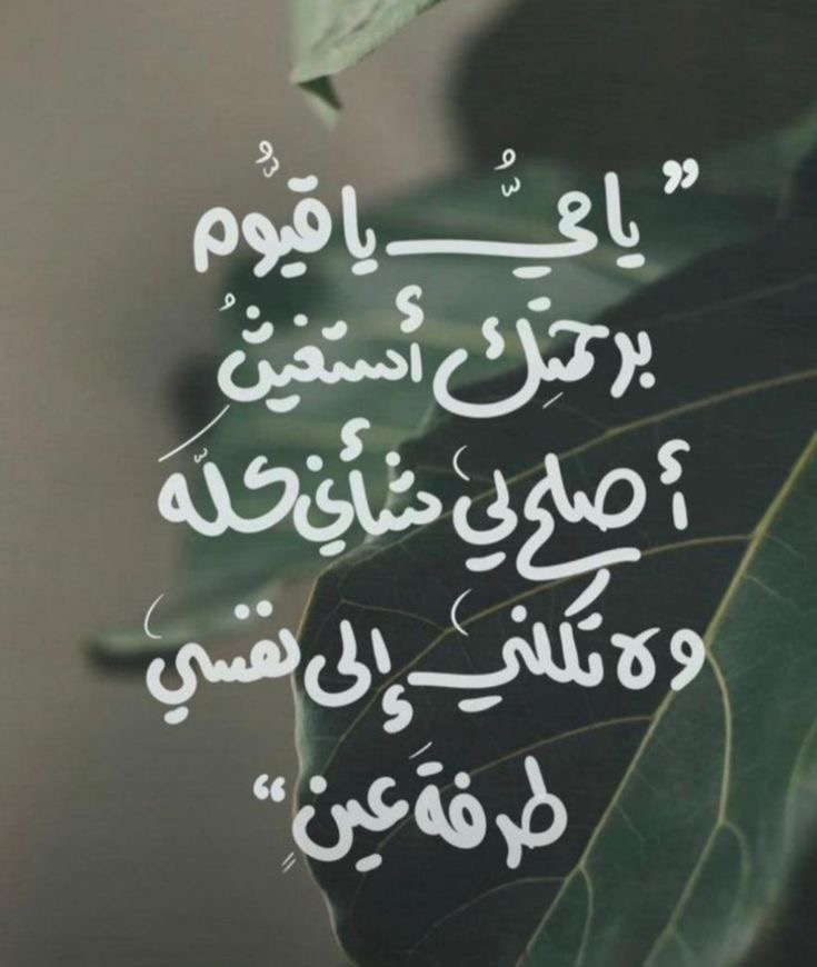 وسائط المنشور