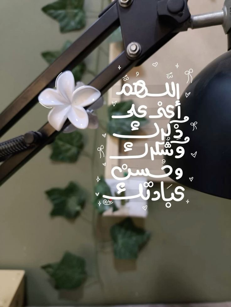 وسائط المنشور