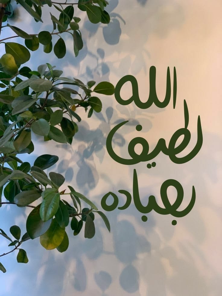 وسائط المنشور