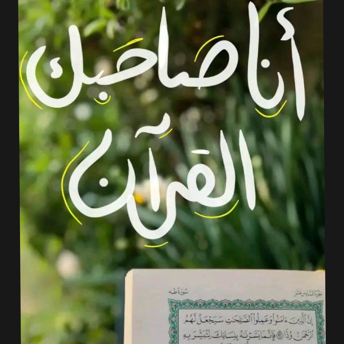 وسائط المنشور