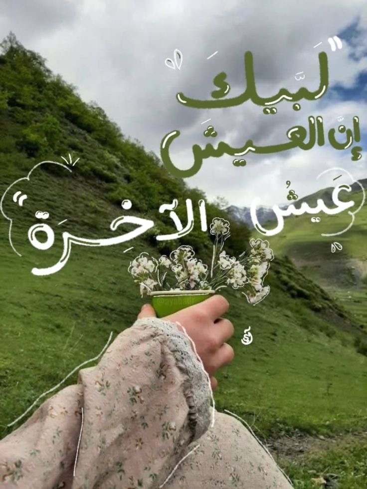 وسائط المنشور