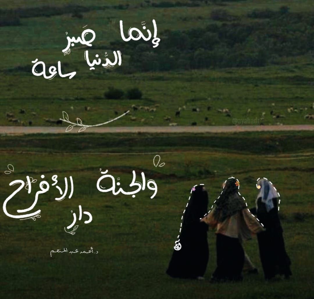 وسائط المنشور