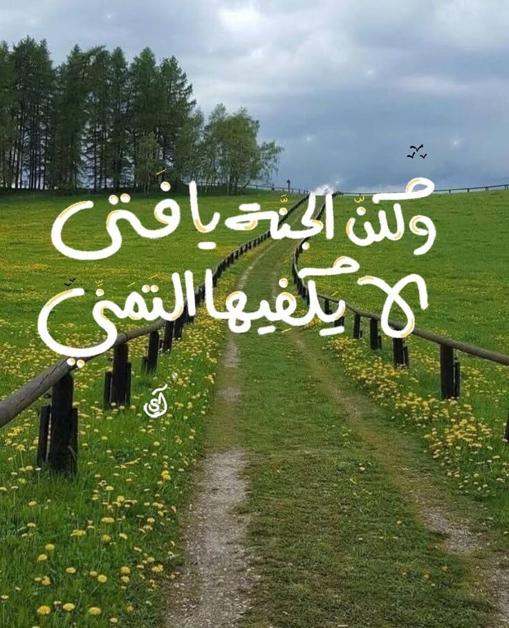 وسائط المنشور