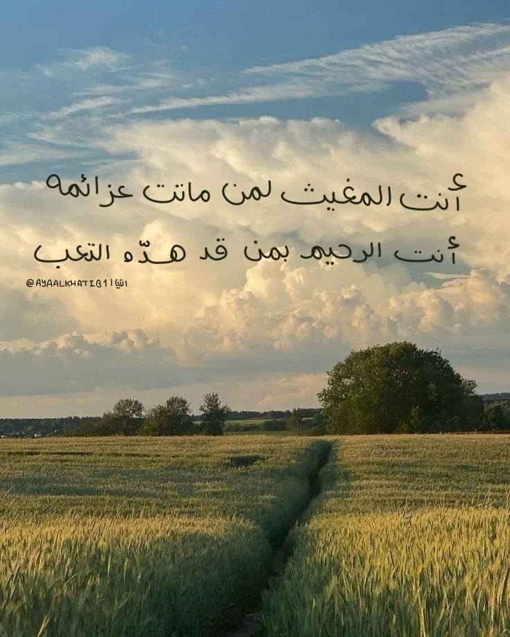 وسائط المنشور