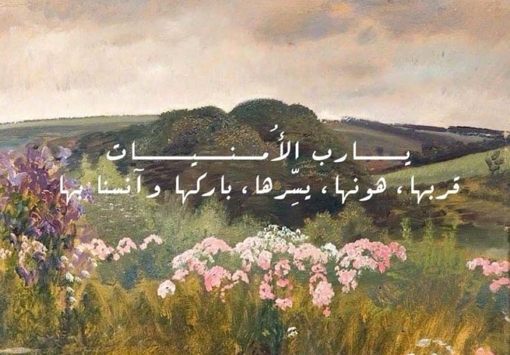وسائط المنشور