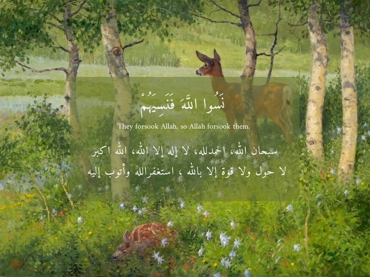 وسائط المنشور