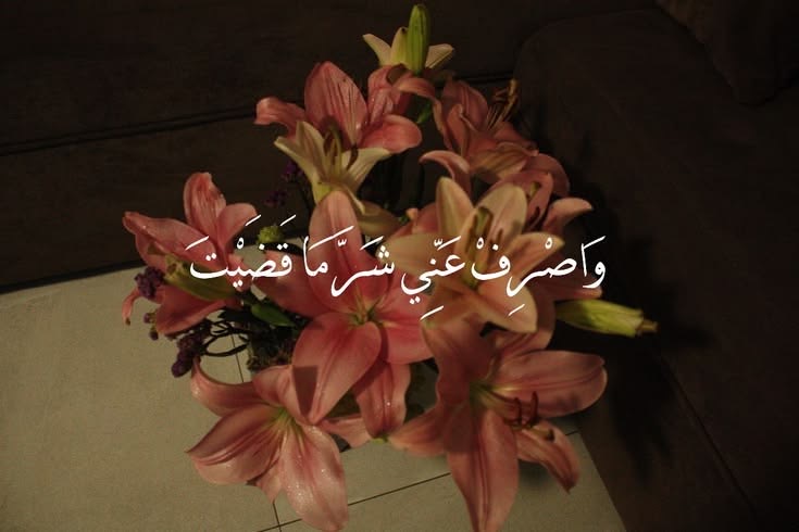 وسائط المنشور
