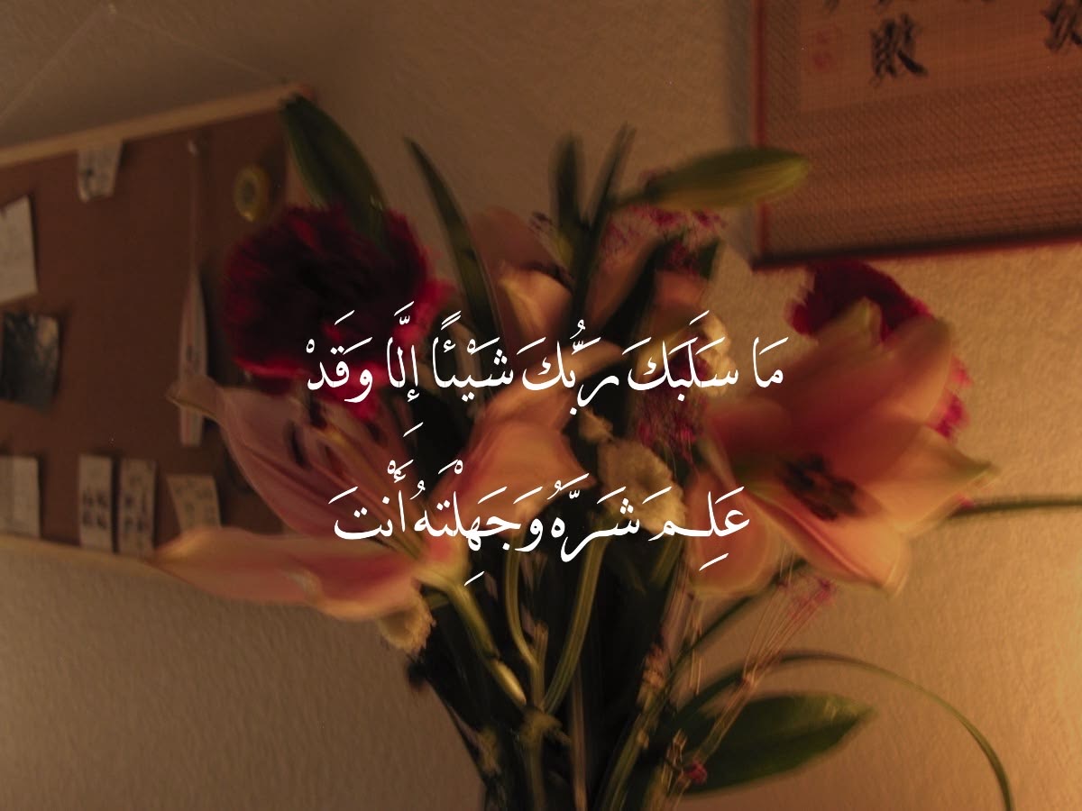وسائط المنشور