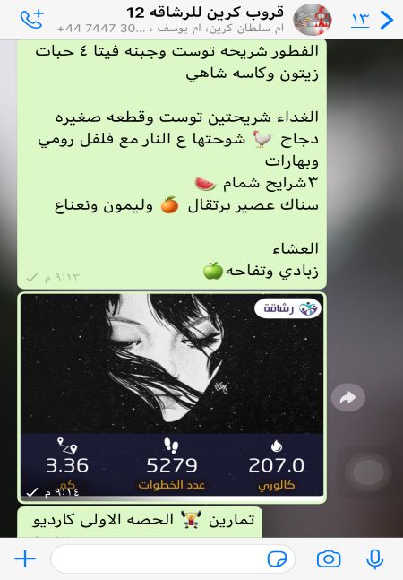 وسائط المنشور