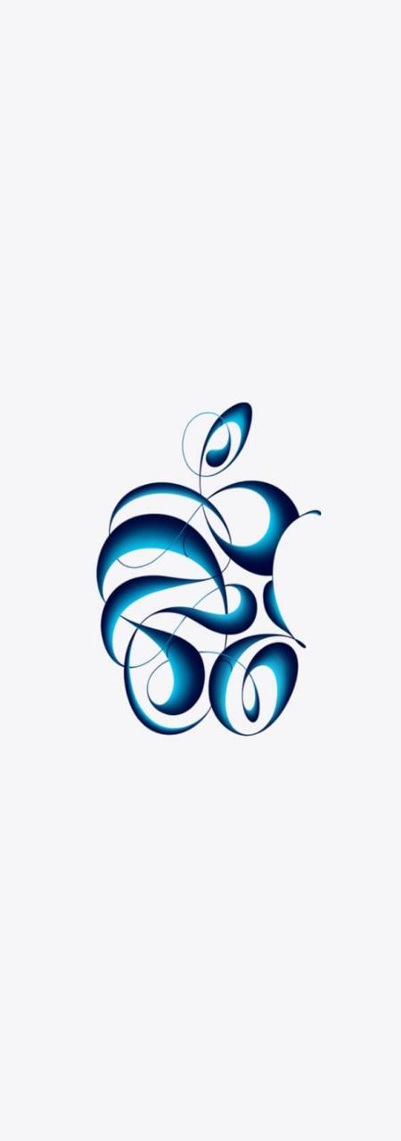 وسائط المنشور