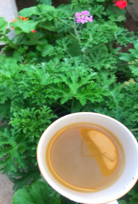 شاهي كرين الجميل