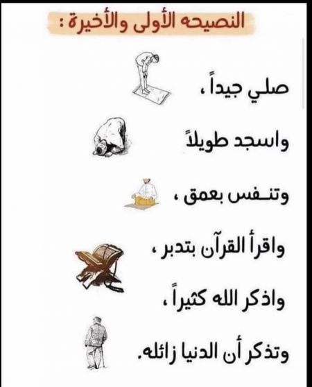 وسائط المنشور