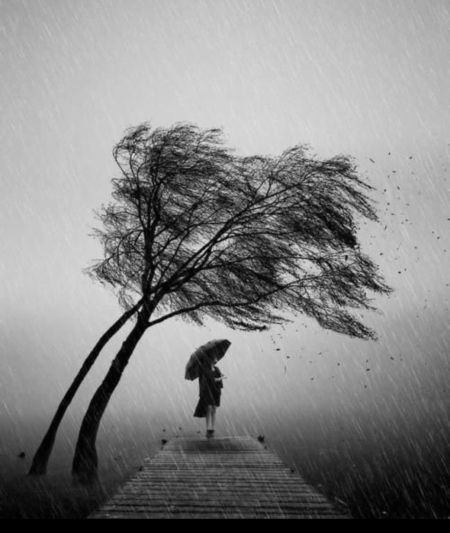 🏖️ كيف تتصرف بالإلتزام بالدايت في الإجازه ؟ 

🏝️ ت...