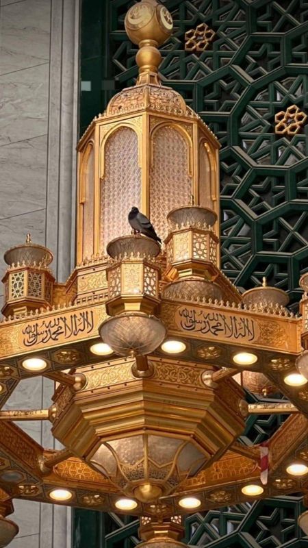 وسائط المنشور