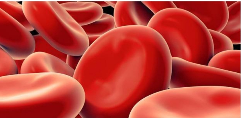 فقر الدم فقر الدم هو انخفاض مستوى الهيموغلوبين بال...