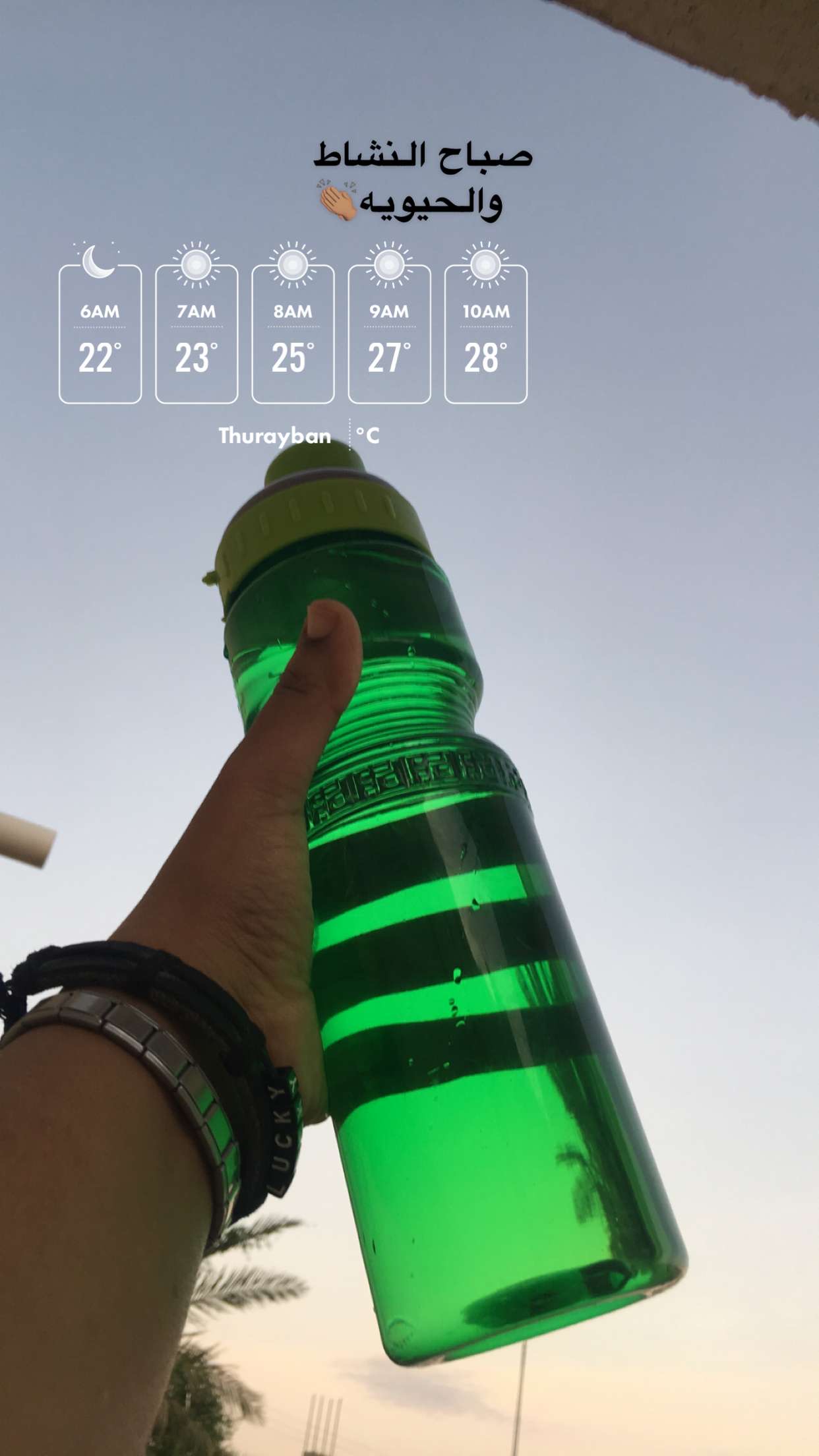 Preview