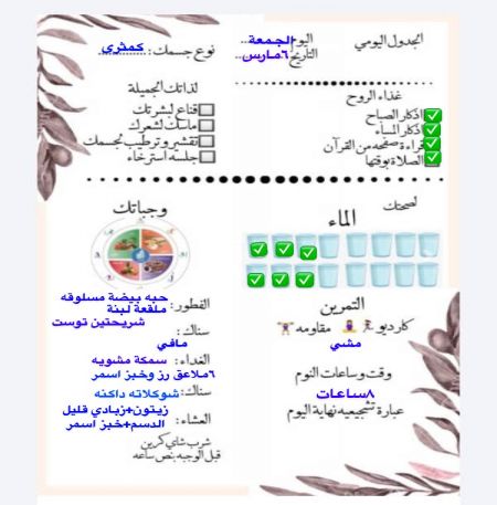 وجباتي لليوم ?