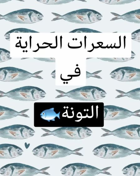 وسائط المنشور