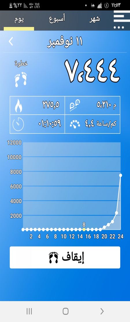 السير في حوش البيت
