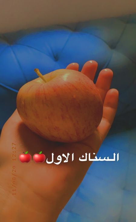 السناك الاول??