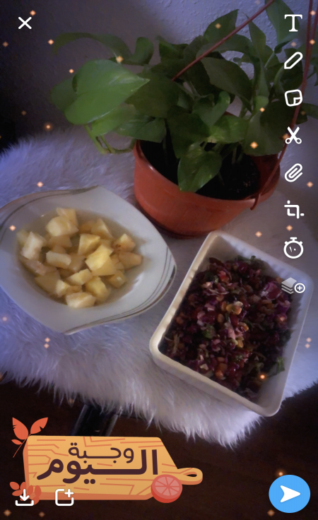 فطوري اليوم قطه تميس مع شاهي

الغداء سلطه خضار و...