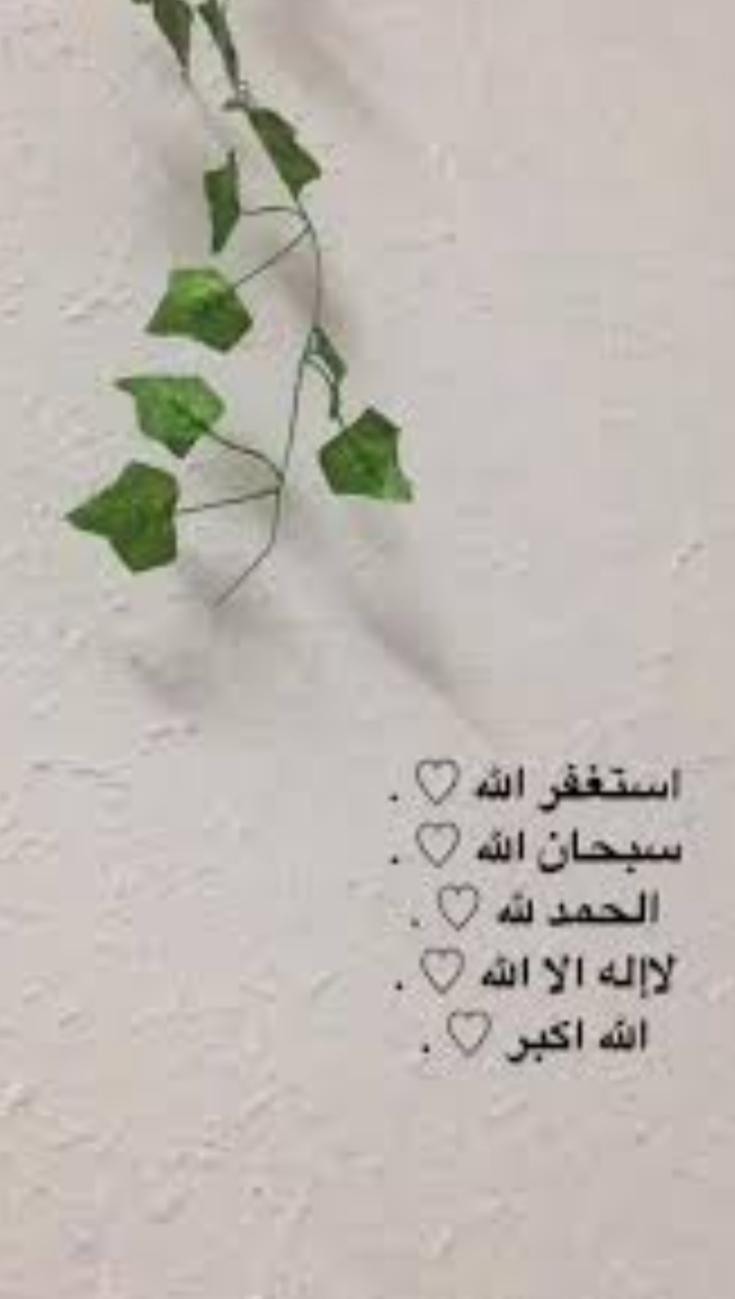 غلاف rafa