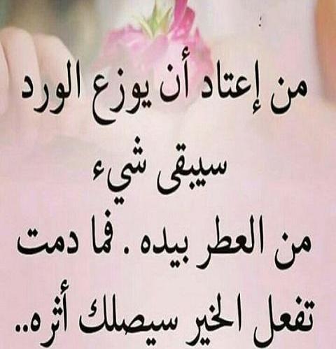 سجى