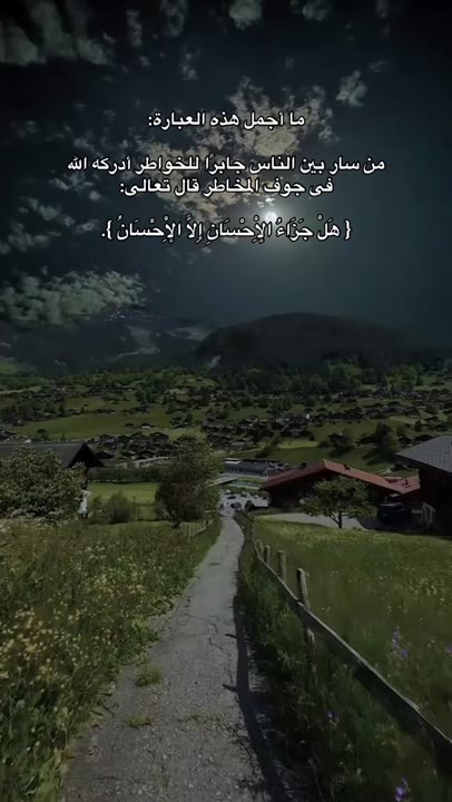 فيديو