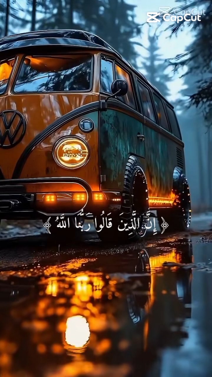 فيديو