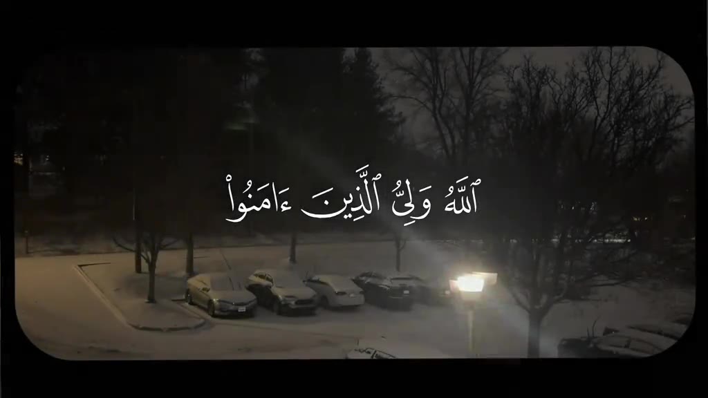 فيديو