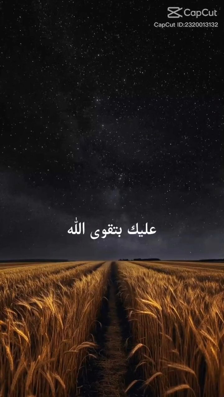 فيديو